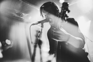 Birds_In_Row-Lune_Des_Pirates-Emmanuel_POTEAU-1