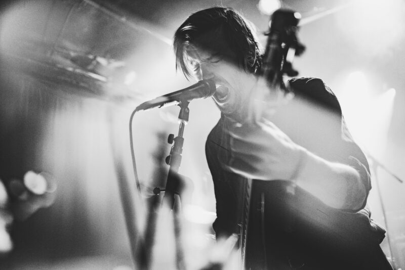 Birds_In_Row-Lune_Des_Pirates-Emmanuel_POTEAU-1